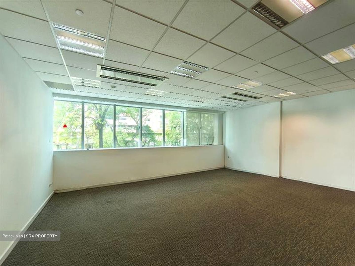Tan Chong Tower (D7), Office #589862561